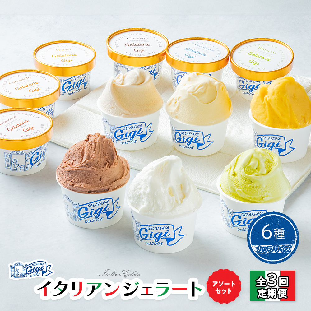 【定期便：全3回】ジェラテリアGigiのイタリアンジェラート6種アソートセットカップサイズ【43004202】