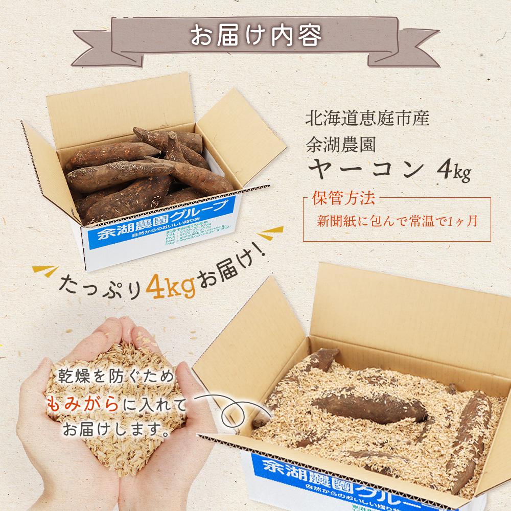 【先行予約】【北海道恵庭市産】余湖農園のヤーコン4kg【31001402】