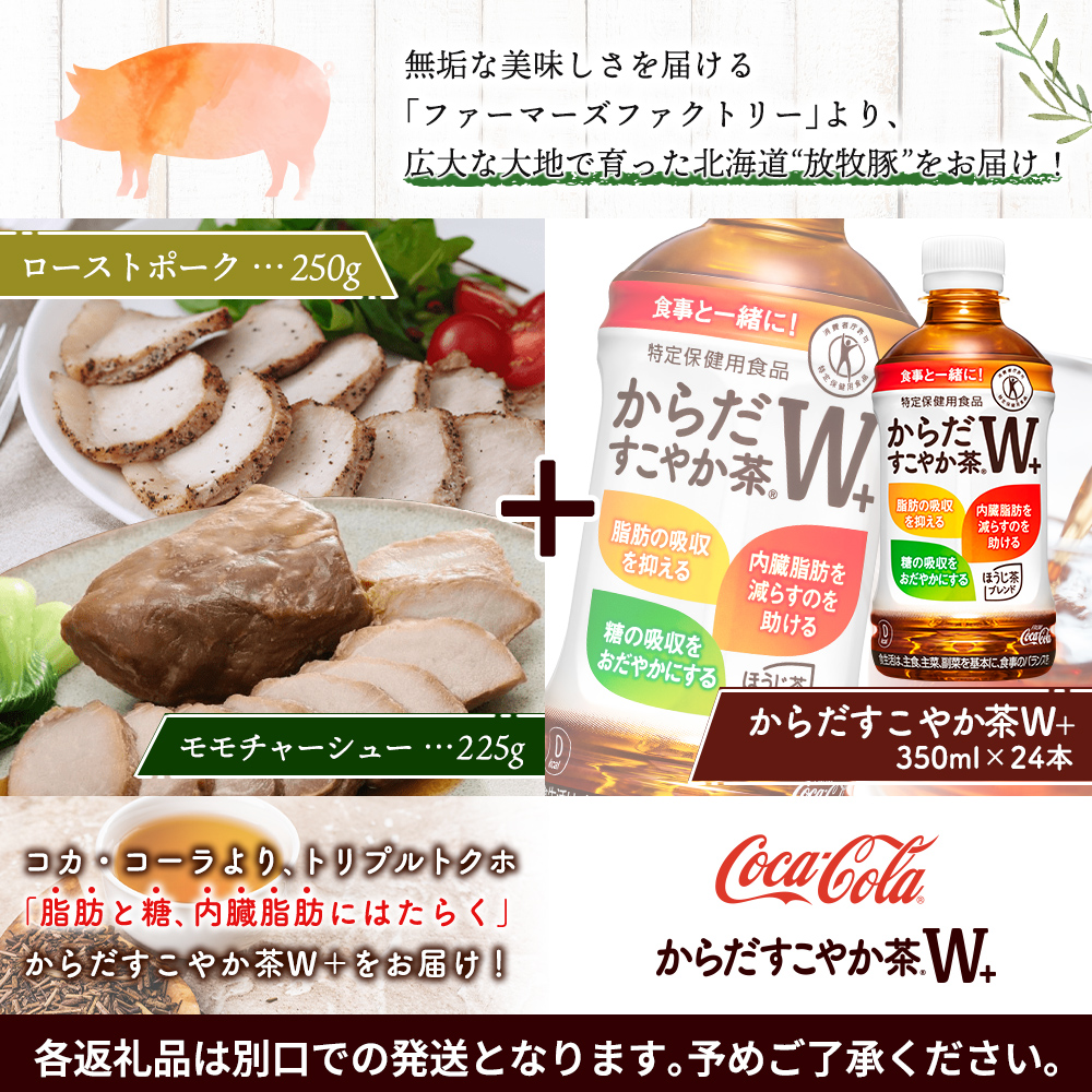 モモチャーシュー＆ローストポークとからだすこやか茶のセット【C9901101】