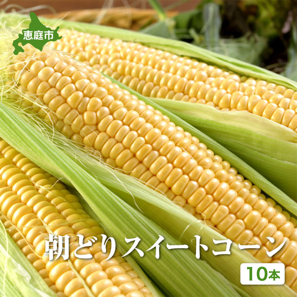 【北海道恵庭市産】朝どりスイートコーン×10本【310024】