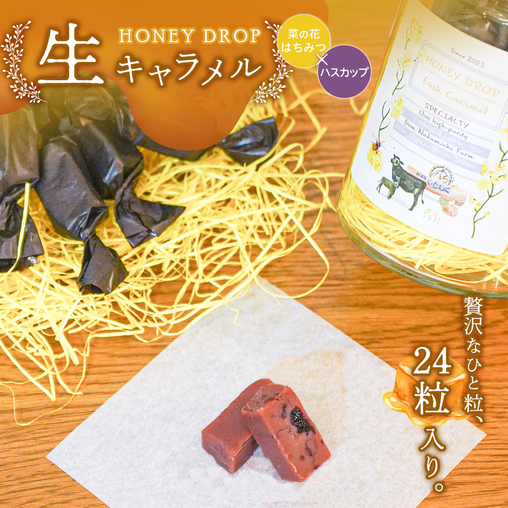 【HONEY DROP】菜の花はちみつ生キャラメル(ハスカップ)2ダース（24粒入り）【75000201】