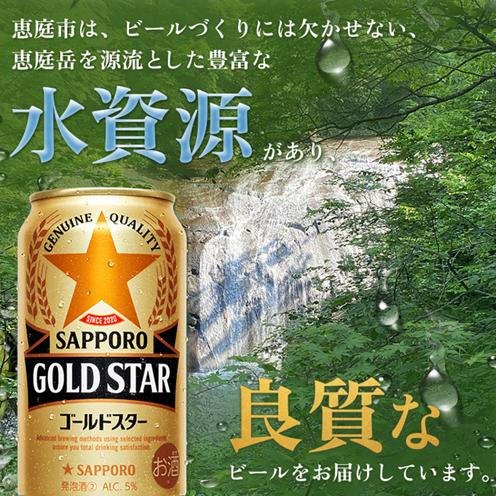 『定期便：全2回』GOLDSTAR 350×24本 ゴールドスター【300100251902】