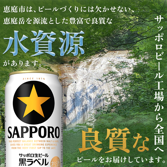 サッポロ　黒ラベル500ml×24本【300050313】