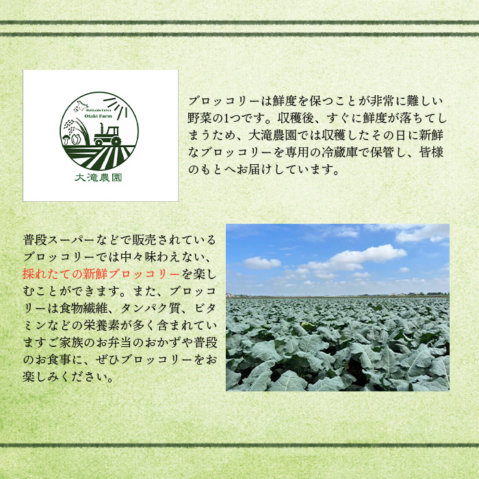 北海道恵庭産採れたてブロッコリー6個【80001002】