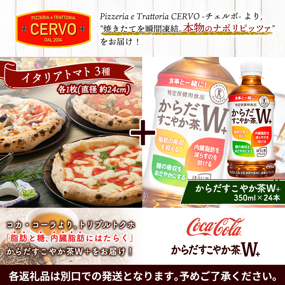 石窯ピッツァ3枚（トマト3種）とからだすこやか茶のセット【C9900801】