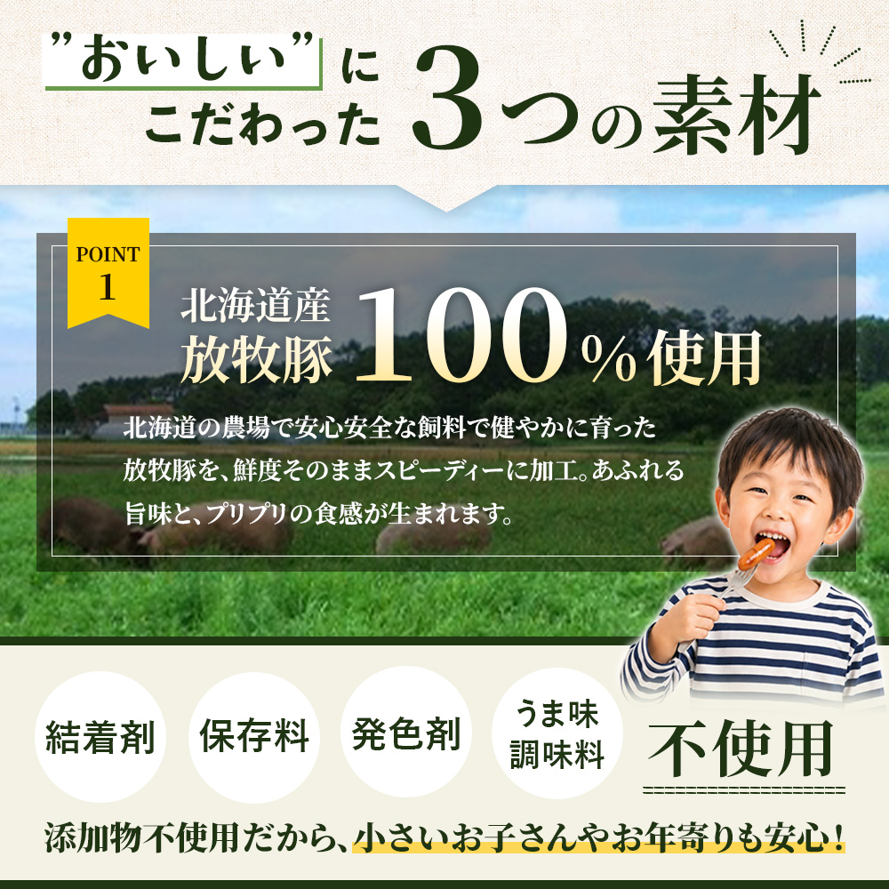 【定期便：4回】北海道産放牧豚 無添加チョリソーウインナー ×20パック【12009301】