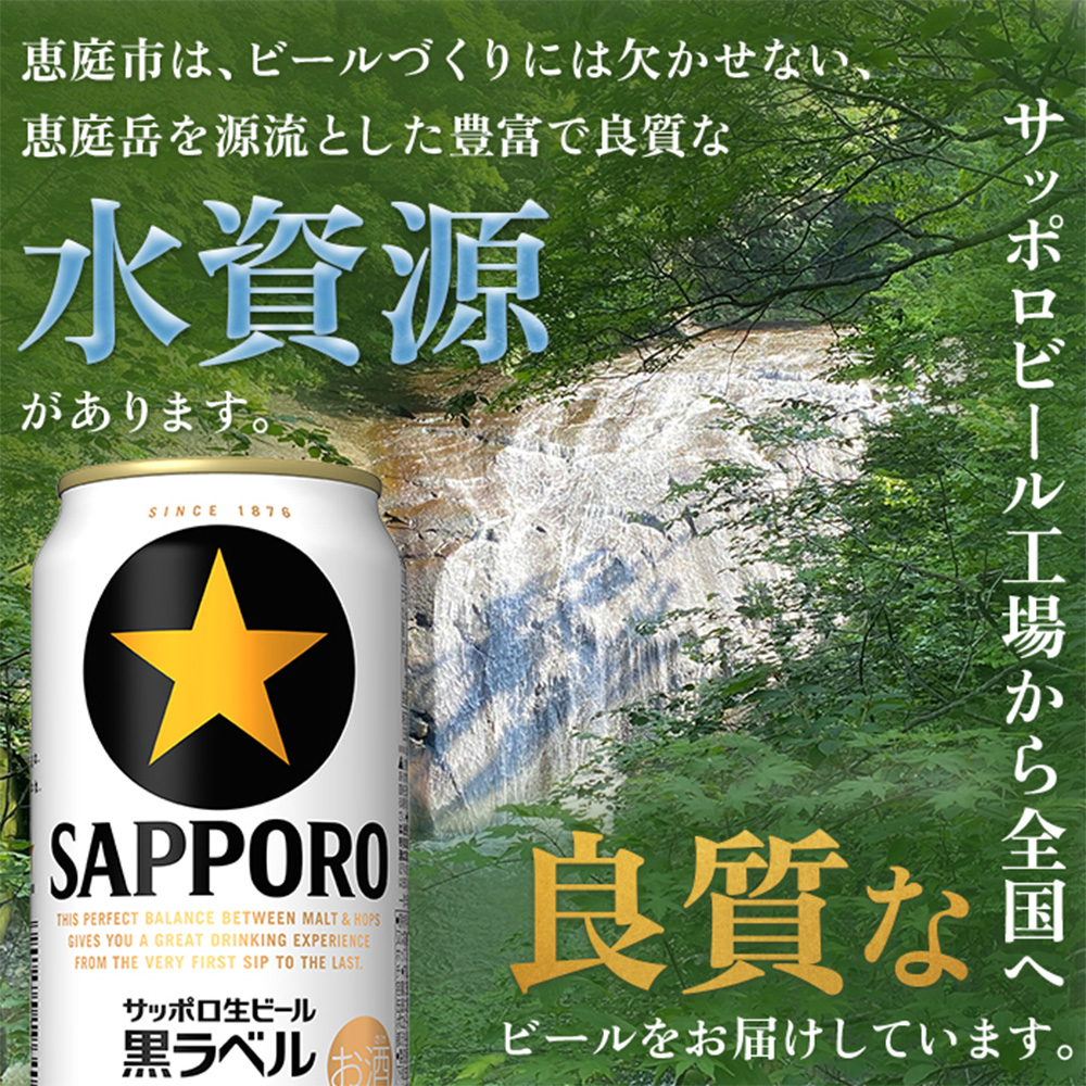 サッポロ　黒ラベル　240本（350ml×24本×10箱）【300040820】