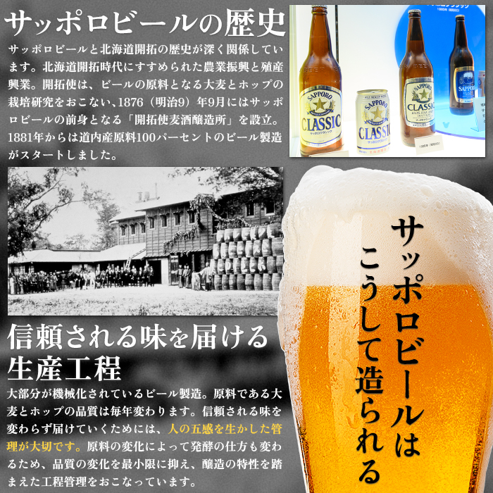【ビール飲み比べ2種各350ml×24本】サッポロ黒ラベルとエビスビール【30004021180021】