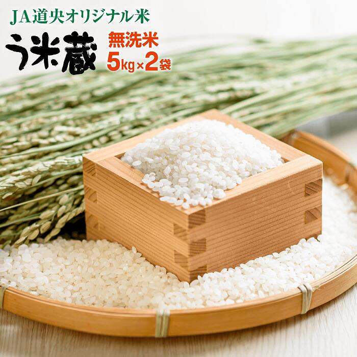 【無洗米】北海道米う米蔵5kg×2（計10kg）【29002304】