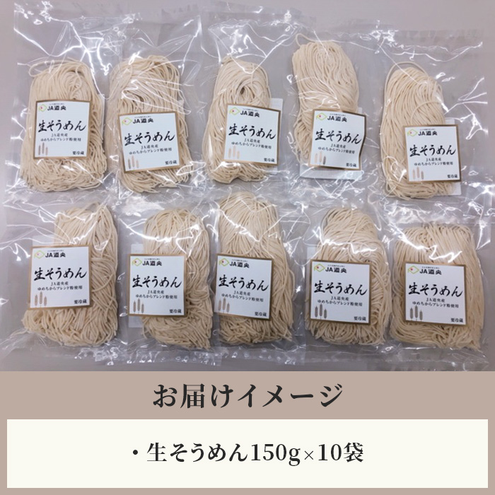 【ゆめちから小麦使用】生そうめん（1人前×10袋）【29000502】