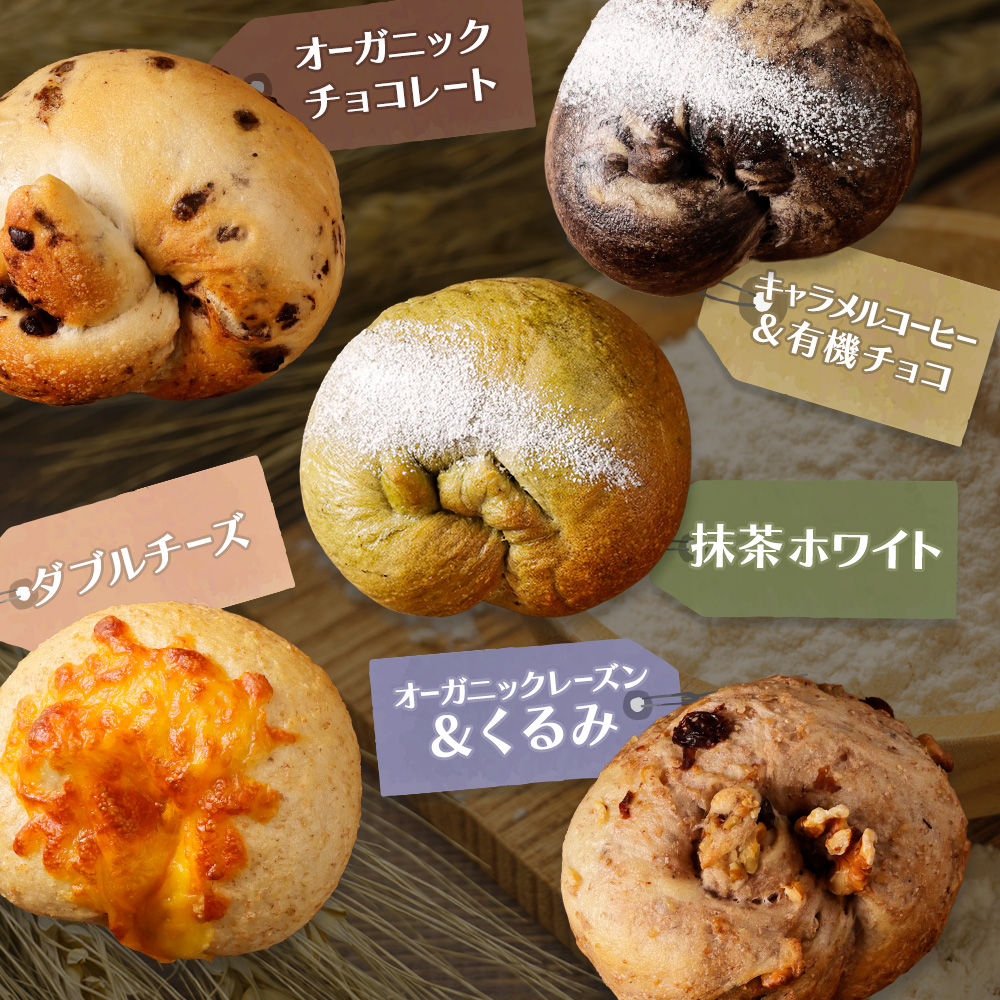 【定期便：全2回】トモヱベーグル ギフトセット「北の麦輪（むぎわ）１０個セット」【33000301】