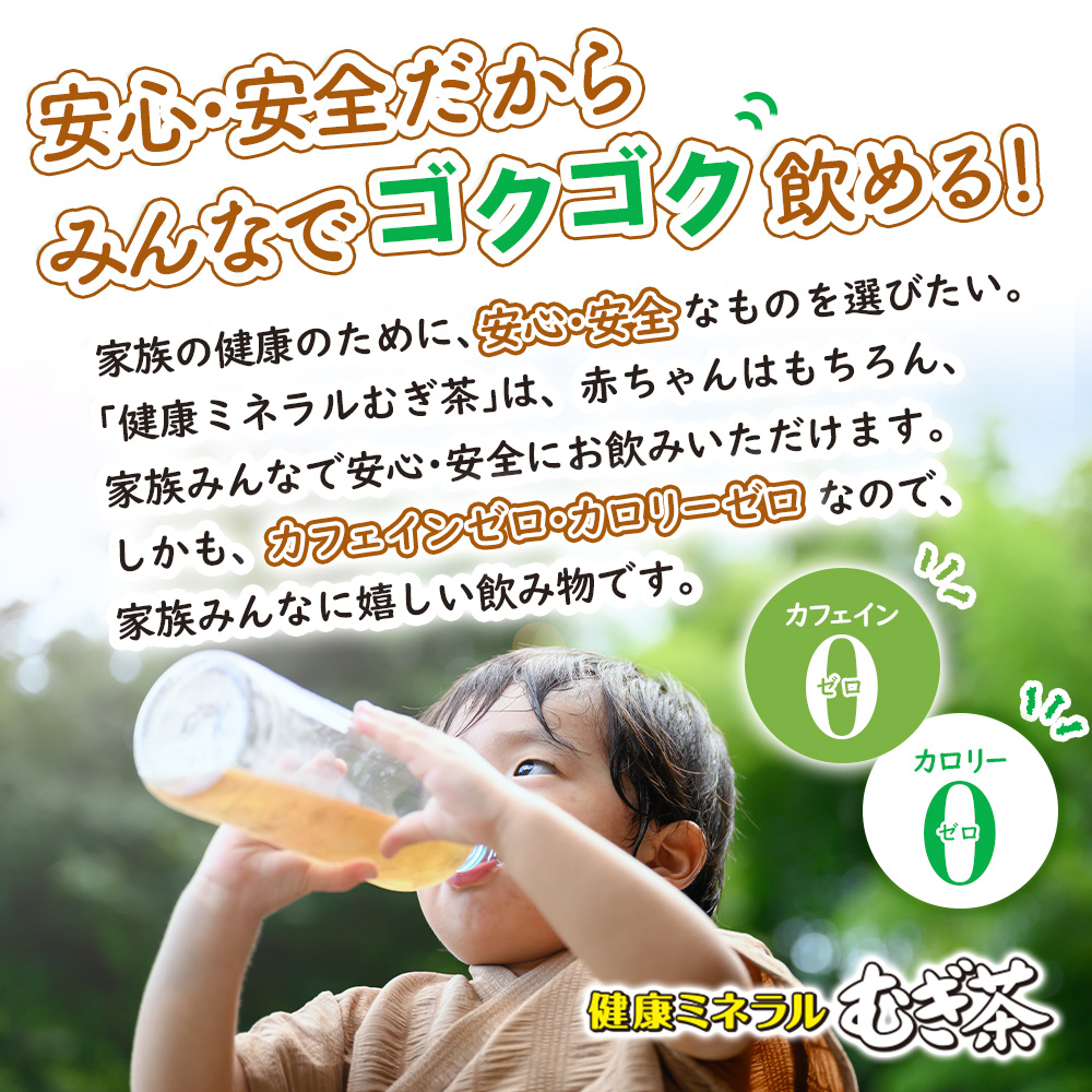 『定期便：全12回』健康ミネラル麦茶2L×6本×2箱【50002401】