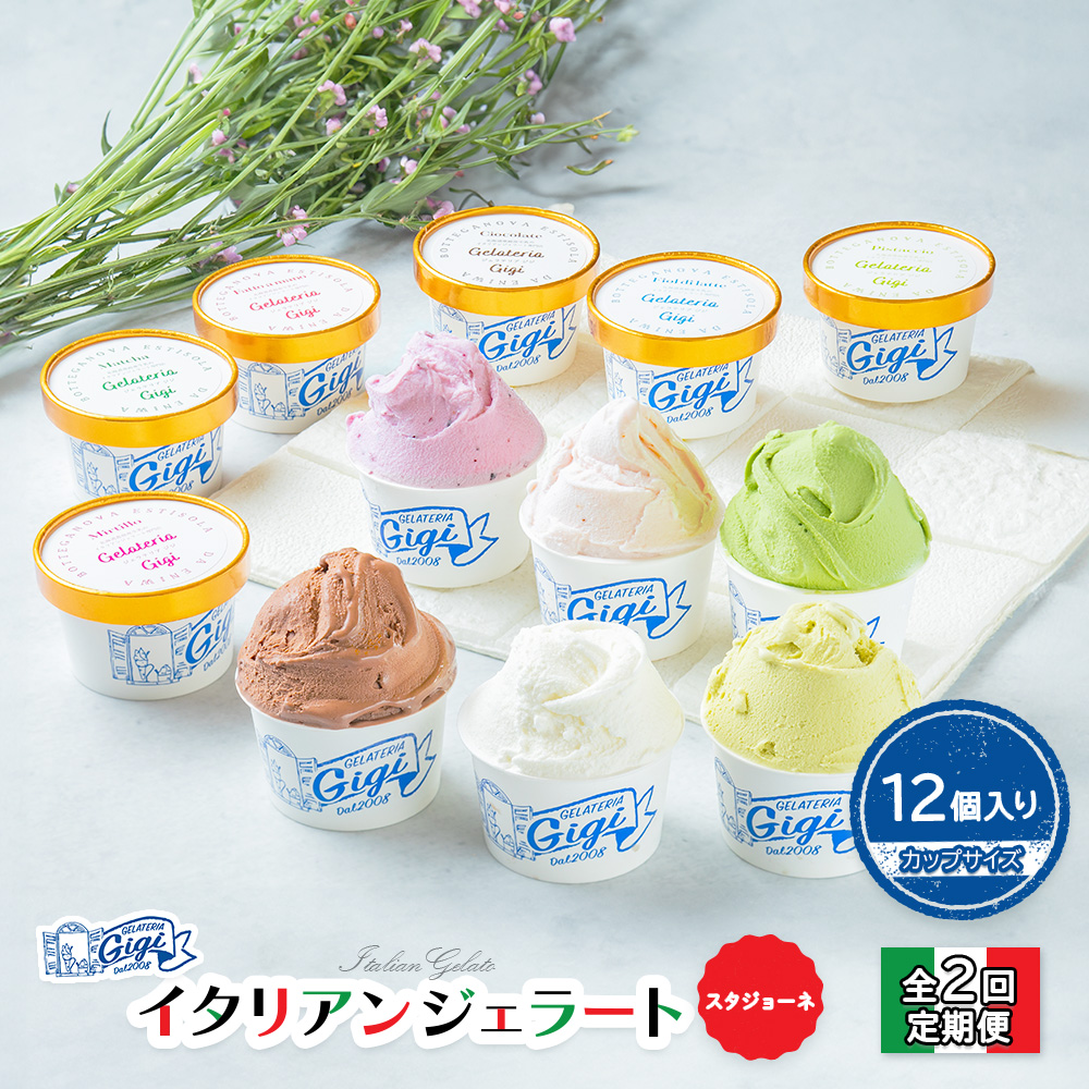 【定期便：全2回】ジェラテリアGigiのイタリアンジェラート6種(Gigiのおまかせ1種入り）【カップサイズ12個】 (牛乳、ピスタチオ、抹茶、チョコレート、ブルーベリーヨーグルト、Gelateria Gigiが選ぶおまかせジェラート)x2【43006902】