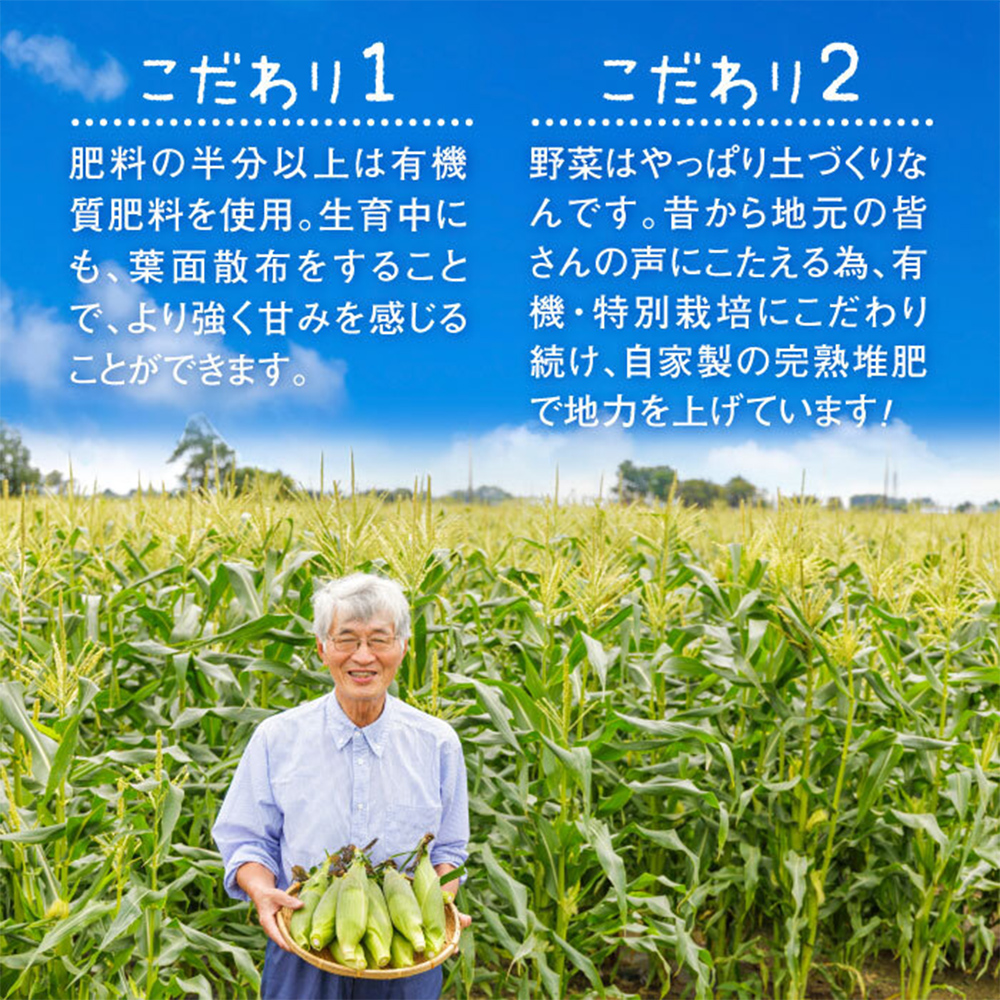 【北海道恵庭市産】朝どりスイートコーン×10本【310024】