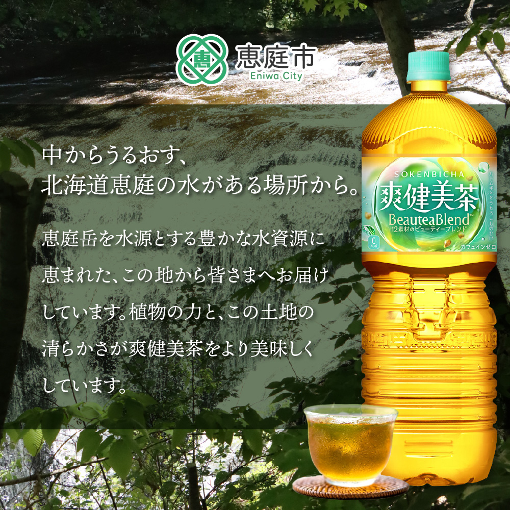 『定期便：全4回』爽健美茶2L×6本【38002002】