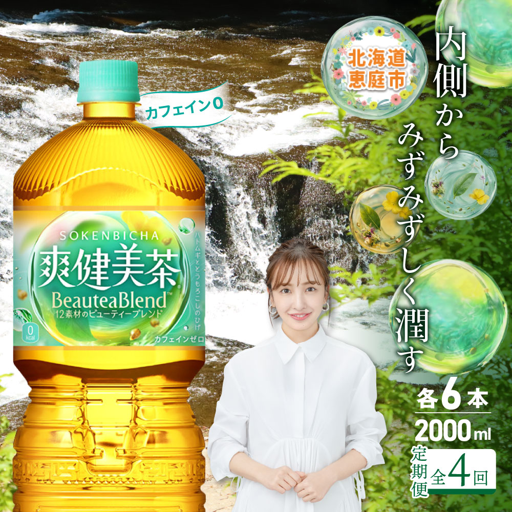 『定期便：全4回』爽健美茶2L×6本【38002002】