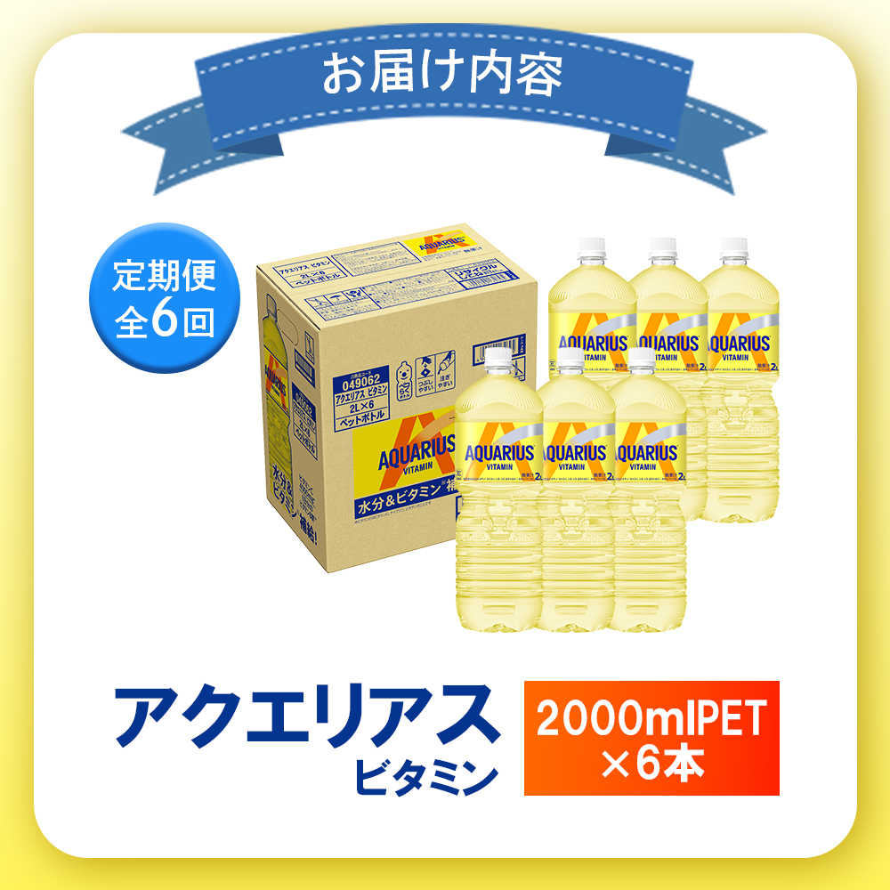 【定期便：全6回】アクエリアス ビタミン 2LPET×6本【38009001】