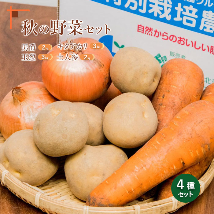 【先行予約】秋の野菜4品セット【31007AA0101】