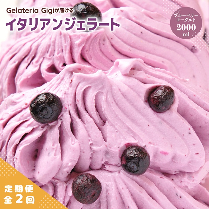 【定期便：全2回】ジェラテリアGigiのイタリアンジェラート『ブルーベリーヨーグルト』2000ml【43005703】