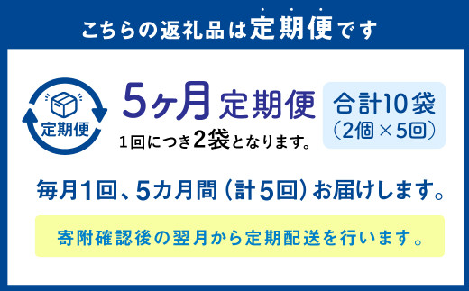 【1ヶ月毎5回定期便】パクパクおこめパンケーキミックス（かぼちゃ）スタンドパック 計10個 （2個×5回） ホットケーキミックス