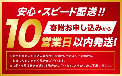 【10営業日以内発送】簡単ワンタッチ！ポップアップ式 着替え用 簡易テント【NORTH VAST SAUNA】プライバシーテント 1人用（高さ190cm）収納袋付き 軽量 コンパクト 収納 撥水 防災 フルクローズ 遮光 トイレ シャワー 海水浴 キャンプ用品 アウトドア