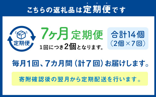 【1ヶ月毎7回定期便】 カムカムおこめチップス（しお） ボックスタイプ 計14個 （2個×7回） お菓子 スナック菓子