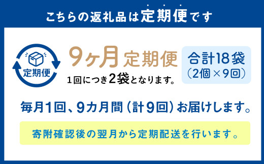 【1ヶ月毎9回定期便】パクパクおこめパンケーキミックス（かぼちゃ）スタンドパック 計18個 （2個×9回） ホットケーキミックス