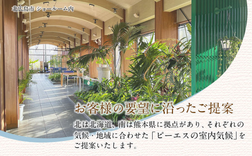 【チョイス限定】 ピーエスクーポン（100万円分）（カタログ3冊セット）快適空間 電気ヒーター ヒーター 安全 暖房 冷房
