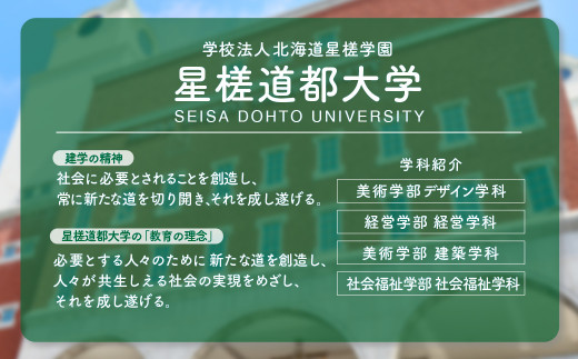 【お礼の品なし】北広島市私立養育機関支援 （学校法人北海道星槎学園 星槎道都大学）【寄付金額100,000円】