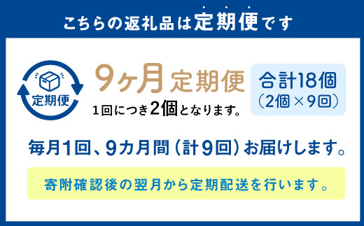 【1ヶ月毎9回定期便】 カムカムおこめチップス（しお） ボックスタイプ 計18個 （2個×9回） お菓子 スナック菓子