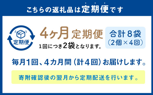【1ヶ月毎4回定期便】パクパクおこめパンケーキミックス（かぼちゃ）スタンドパック 計8個 （2個×4回） ホットケーキミックス