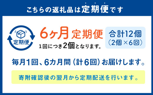 【1ヶ月毎6回定期便】 カムカムおこめチップス（しお） ボックスタイプ 計12個 （2個×6回） お菓子 スナック菓子