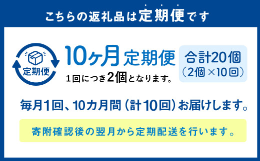 【1ヶ月毎10回定期便】 カムカムおこめチップス（しお） ボックスタイプ 計20個 （2個×10回） お菓子 スナック菓子