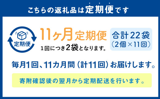 【1ヶ月毎11回定期便】パクパクおこめパンケーキミックス（かぼちゃ）スタンドパック 計22個 （2個×11回） ホットケーキミックス