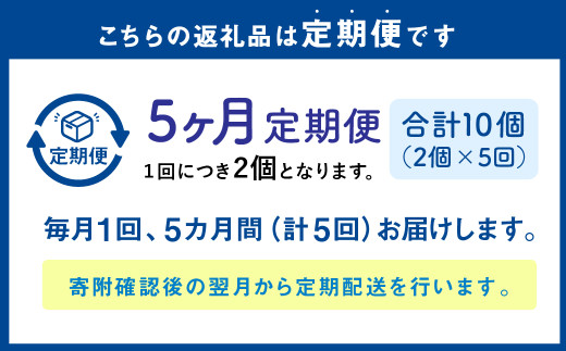 【1ヶ月毎5回定期便】 カムカムおこめチップス（しお） ボックスタイプ 計10個 （2個×5回） お菓子 スナック菓子