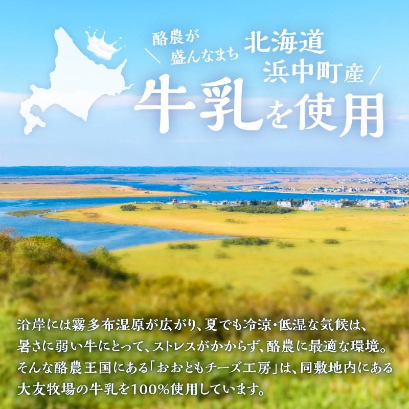 【おおともチーズ工房】《人気No1》定番の手造りナチュラルチーズ詰め合わせ  チーズ チーズセット ちーず 乳製品 牛乳 乳 手造り おつまみ おやつ 北海道 浜中町 ふるさと納税 人気_H0003-102