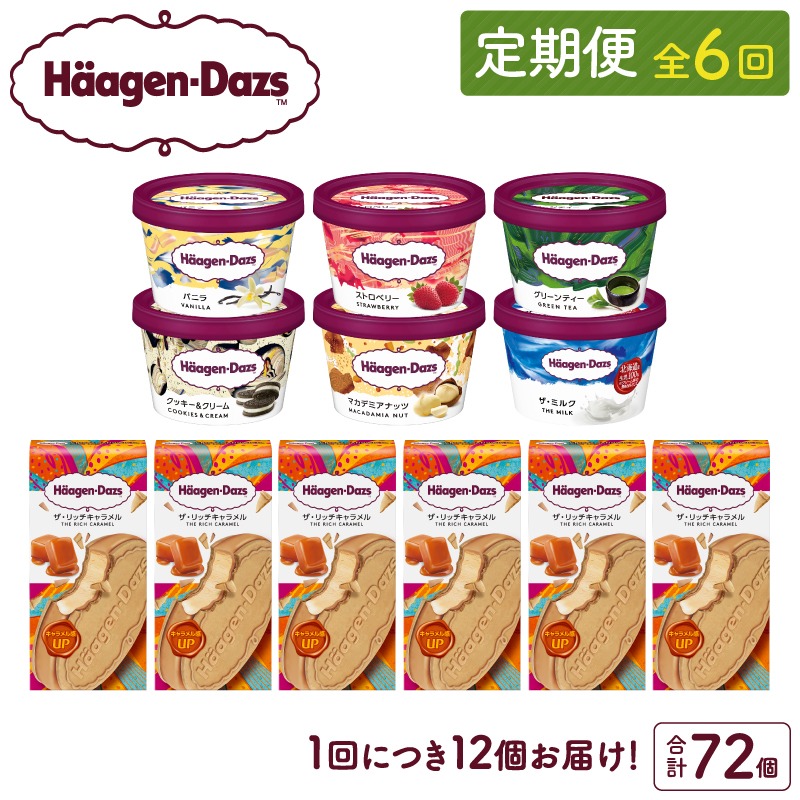 ＜全6回定期便・連続＞ハーゲンダッツ『ミニカップ＆クリスピーサンド ザ・リッチキャラメル(合計72個)』アイスクリーム アイス スイーツ デザート_H0016-138