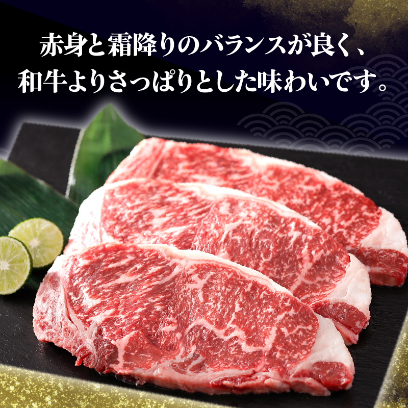 北海道浜中黒牛サーロインステーキ3枚(約510g) 牛肉 肉 黒牛 牛 浜中黒牛 サーロイン ステーキ 赤身 国産 北海道 浜中町 ふるさと納税_H0019-105