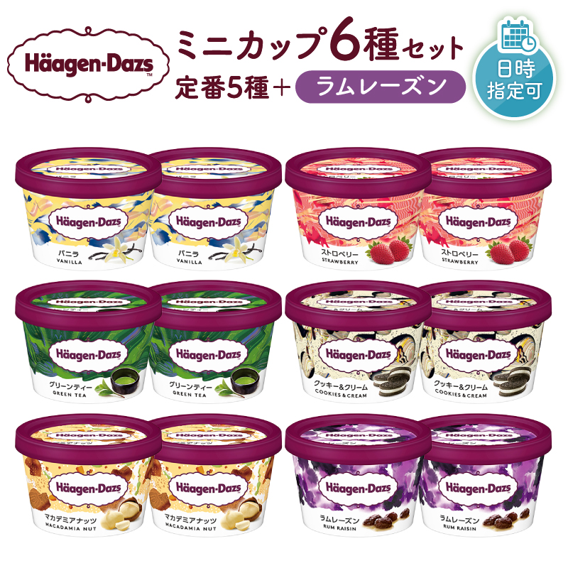 ハーゲンダッツ『ミニカップ12個セット（定番フレーバー＆ラムレーズン味）』アイスクリーム アイス スイーツ デザート_H0016-113