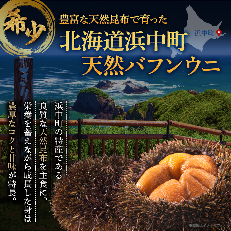≪氷温熟成≫ 塩水うに (天然バフンウニ) 100g×1パック うに ウニ 雲丹 折うに バフンウニ 天然うに 天然バフンウニ 生うに 塩水うに 海鮮 海産物 北海道 浜中町 ふるさと納税 人気_H0009-103