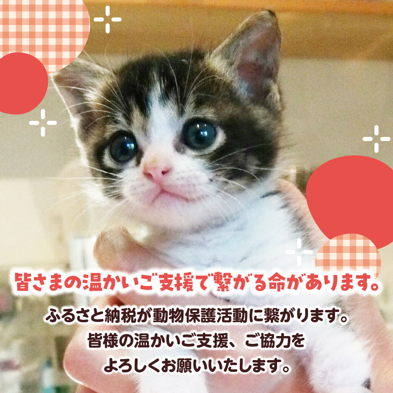 【動物愛護ボランティア】浜中町「ポラリス☆はまなか」を支援　50000円分 返礼品なし_H0048-008