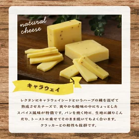 【おおともチーズ工房】キャラウェイチーズ100g×2個_H0003-106
