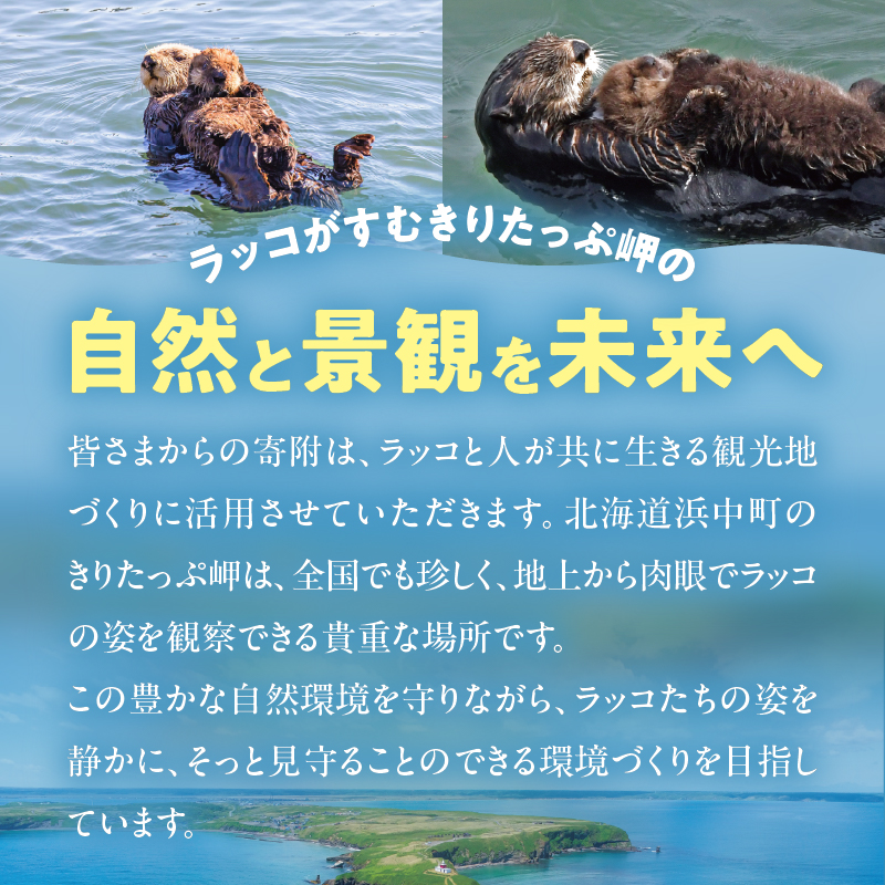 ラッコを見守る岬「きりたっぷ岬」周辺の環境整備　100000円分「きりたん」返礼品なし_H0028-015