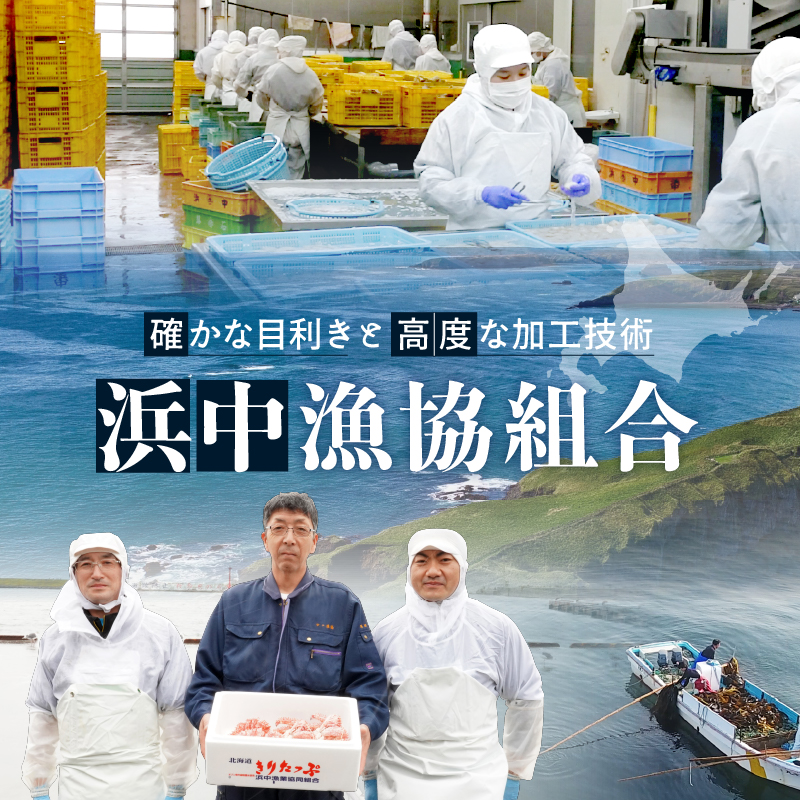 【北海道浜中町産】まるはまの海の幸5種食べ比べセット(ほっけ・さんま・つぶ貝・たこ)_H0001-113
