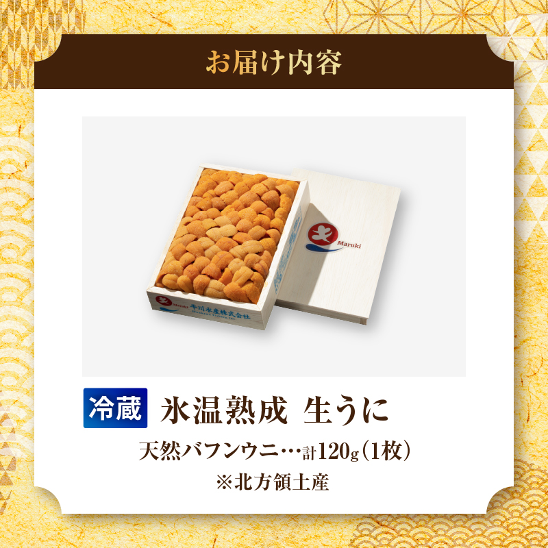 ≪氷温熟成≫ 生折うに(天然バフンウニ) 120g×1枚 うに ウニ 雲丹 折うに バフンウニ 天然うに 天然バフンウニ 生うに 海鮮 海産物 北海道 浜中町 ふるさと納税 人気_H0009-101