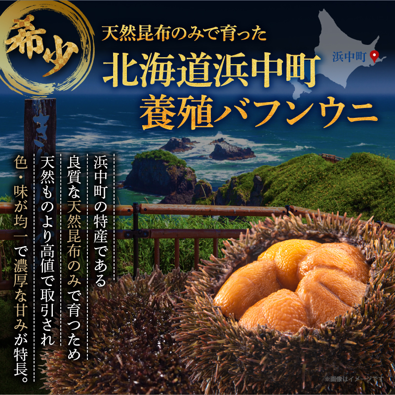 養殖エゾバフンウニ(塩水パック)100g_H0009-115