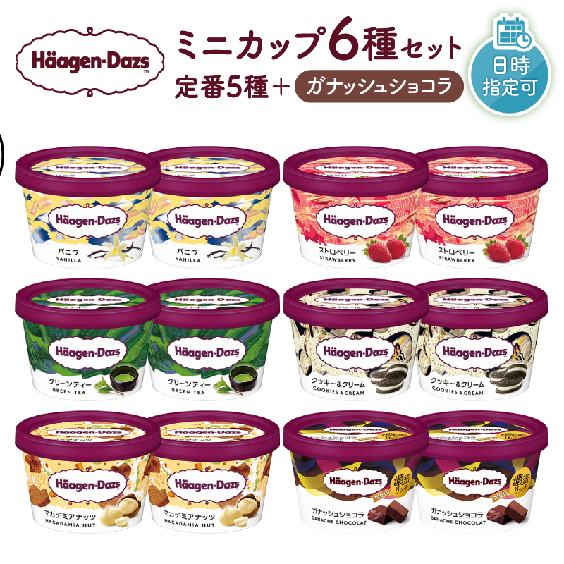 ハーゲンダッツ『ミニカップ12個セット（定番フレーバー＆新商品 ガナッシュショコラ）』アイスクリーム アイス スイーツ デザート_H0016-114