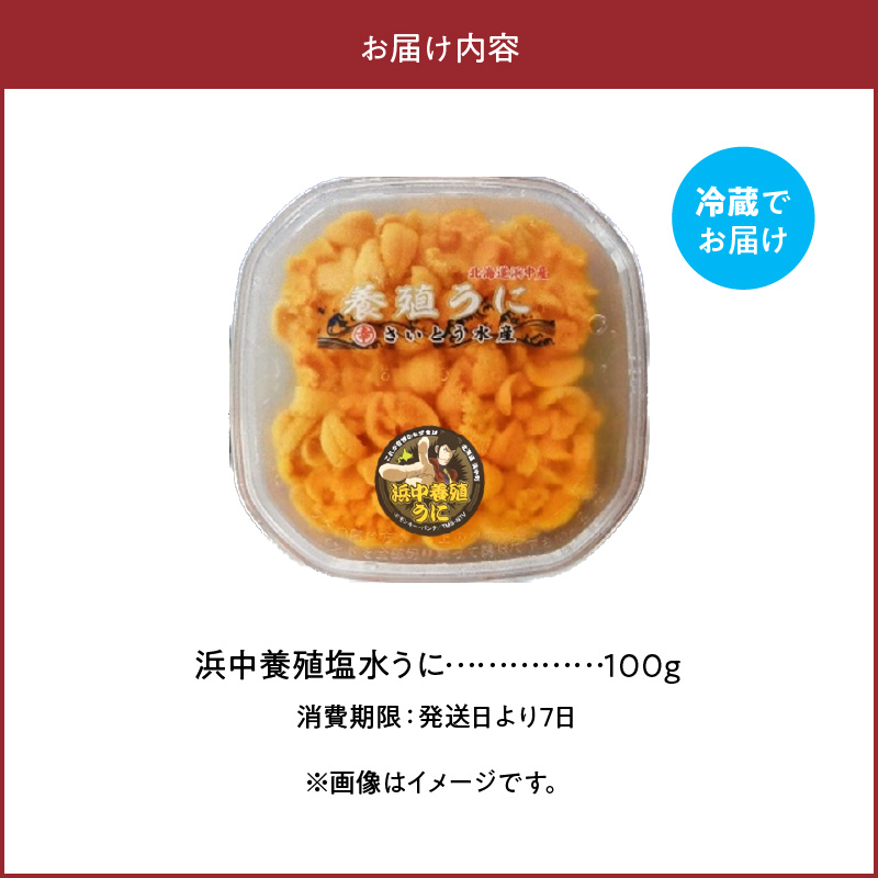 無添加「浜中町養殖塩水うに(計100g)」_H0038-105