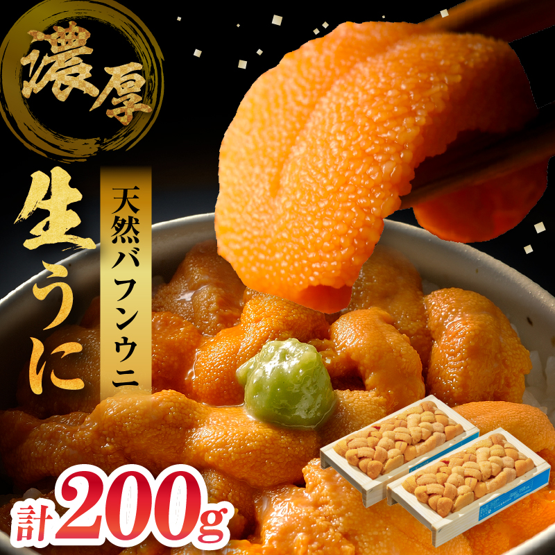 ≪氷温熟成≫ 生折うに (天然バフンウニ) 100g×2枚 うに ウニ 雲丹 折うに バフンウニ 天然うに 天然バフンウニ 生うに 海鮮 海産物 北海道 浜中町 ふるさと納税 人気_H0009-102