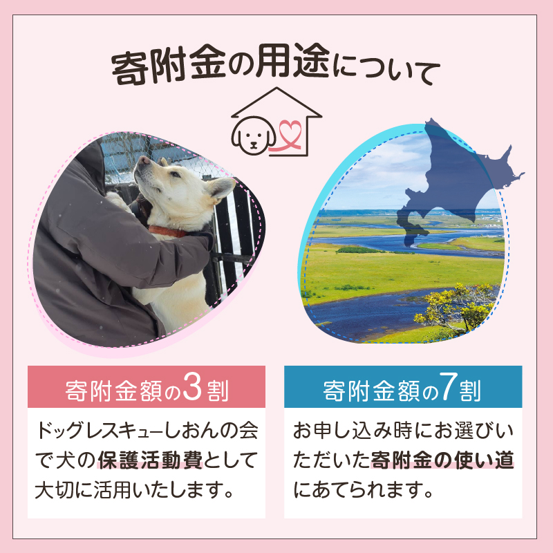 【野犬の保護活動】浜中町「ドッグレスキューしおんの会」を支援　50000円分 返礼品なし_H0039-008